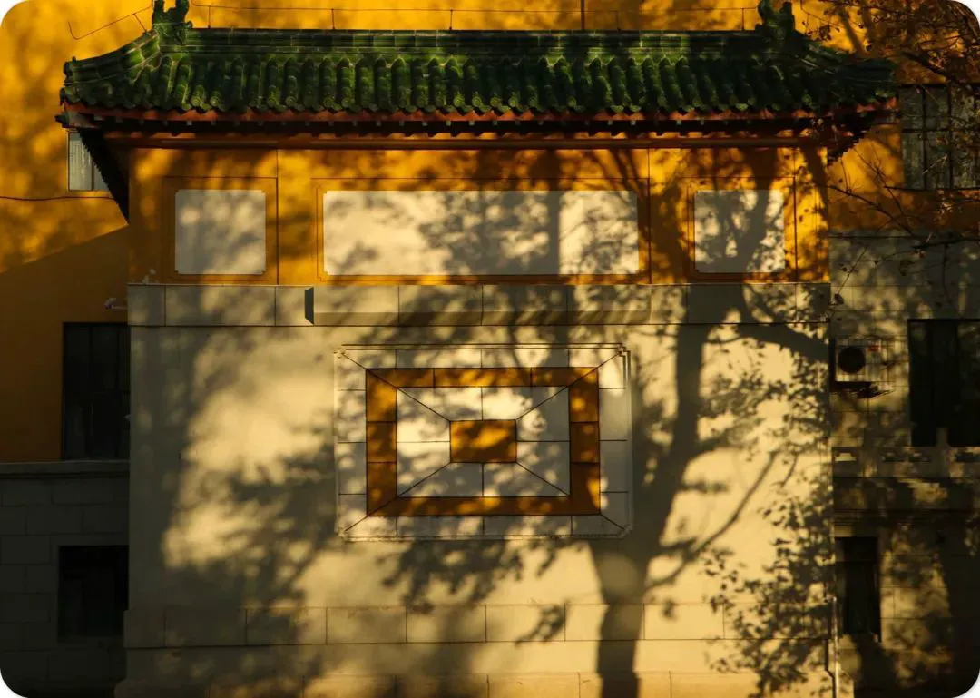 7岁儿童篮球基础训练计划方案_0